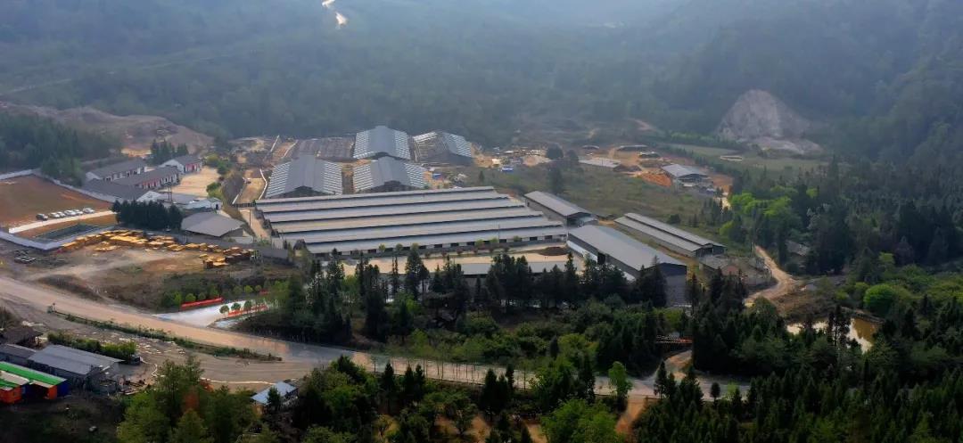 1639374587349335.jpg WeChat Image_20211213134818.jpg